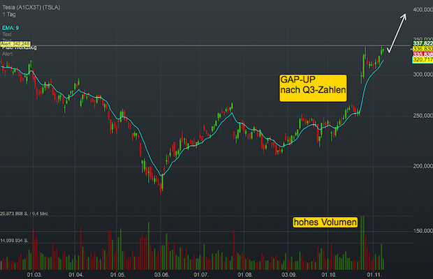 tesla-101119-day